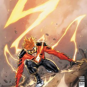 (PRE-ORDER) ABSOLUTE FLASH #14 CVR B STEPHEN SEGOVIA CARD STOCK VAR